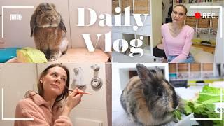 Living alone Diaries: Get Ready with me | Krankenversicherung für Kaninchen | VLOG