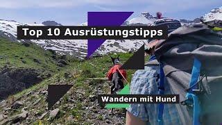 Wandern mit Hund   Top 10 Ausrüstungstipps