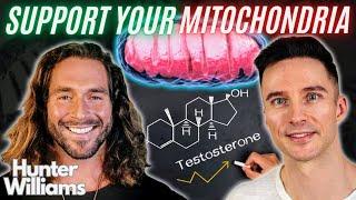 Testosterone: The Secret to Your Mitochondria