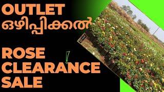 ഔട്ട്ലറ്റ് ഒഴിപ്പിക്കൽ / Rose Clearance sale / Garden Tour #rareroses