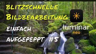 𝗟𝘂𝗺𝗶𝗻𝗮𝗿 𝗡𝗲𝗼 - blitzschnelle Bildbearbeitung von einem Waldbild! Einfach aufgepeppt #5