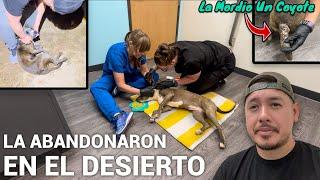 La Abandonaron En El Desierto