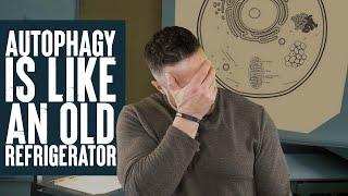 Autophagy is Like an Old Refrigerator w/ Ben Azadi | What the Fitness | Biolayne