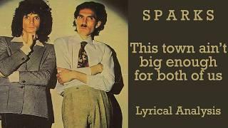 What is 'This Town Ain't Big Enough For Both Of Us' by SPARKS about?