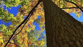 Teaneck Creek Conservacy 1