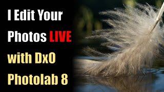 Photo Editing Live with DxO Photolab 8: Send me your photos - Link Below!