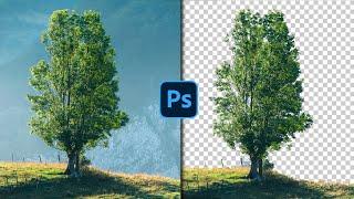 Remove Background in Photoshop Using Channels I Photoshop 2023 Tutorial in Hindi/ Urdu