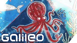 Die erste Oktopus Aquazucht der Welt: Paradies für eine aussterbende Spezies? | Galileo | ProSieben