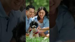 Không gian xanh mát nhất nhì Sài Gòn (P1) #themeadow #gamudaland #nhaphobinhchanh #bietthubinhchanh