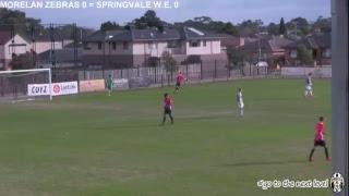 Moreland Zebras Live Stream