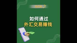 外汇交易赚钱需要策略、纪律和风险管理，而非快速致富计划。关键在于正确预测货币价格走势