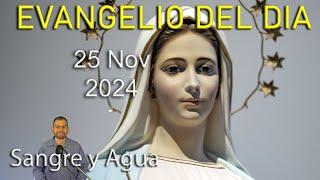 Evangelio Del Dia Hoy - Lunes 25 Noviembre 2024- Sangre y Agua