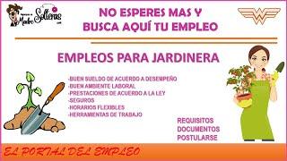 Jardinería Bolsa de trabajo México Vacantes y Empleo Beneficios, Requisitos, Postulación