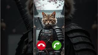 Simba is calling #cat #ringtone #catlover #ai