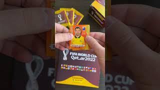 Panini Stickers FIFA World Cup Qatar 2022! Completed Group D!