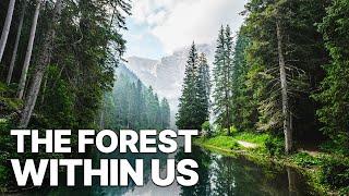 The Forest Within Us | Nature Documentary