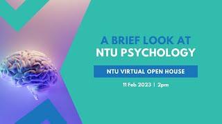 A Brief Look at NTU Psychology