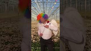 Flower Circus Cupid