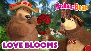 Masha and the Bear 2025  Love Blooms  Best episodes cartoon collection 