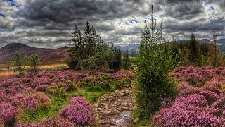 Family Explore The Outdoors / Beautiful Nature In Lake District