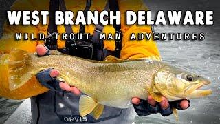 West Branch Delaware River - Fly Fishing Streamers in the Snow