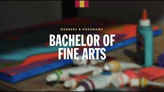 Degrees: Bachelor of Fine Arts