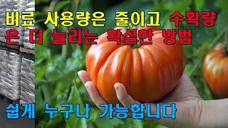 비료 사용량은 줄이고 수확량은 더 늘리는 확실한 방법 , 쉽게 누구나 가능합니다.