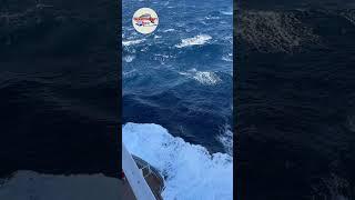 MSC Seascape - very rough sea
