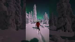How The Northern Lights Form  (@jarcce)