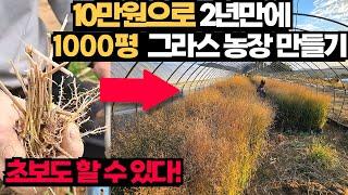 10만원으로 2년만에 1000평 그라스 농장 만드는법