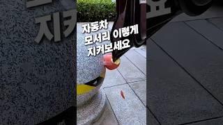 자동차 문콕 방지 하는 법 #차량꿀템 #차량용품