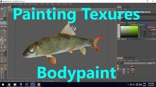 Texture painting Maya Tutorial Fish in Bodypaint 3D Software 3D tutorial