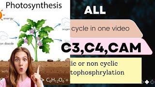 Photosynthetic all cycle in one video ||PS1,PS2,C3,C4,CAM CYCLE EXPLAINED IN SHORT