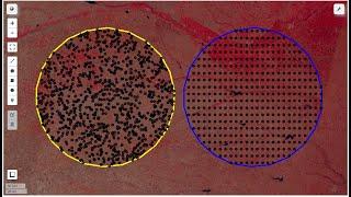 Random and Systematic Sampling for Machine Learning with Earth Engine