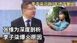 李子柒沉寂3年终于复出!张维为教授深度剖析李子柒海外爆火现象!一语点醒所有人【中国品格】#李子柒 #张维为