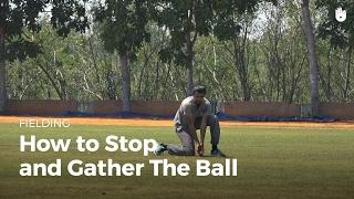 How to Stop the Ball | Cricket