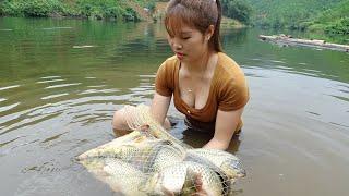 Fishing Techniques - Making Fish Traps, Catching Many Big Fish | Fishing Girl