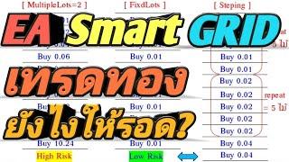 EA Forex Smart Hedging Grid V1.0 เปิด Sell & Buy เพิ่ม Repeat steping มาช่วยจัดการลดทอนในการเบิ้ลไม้