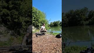 surface fishing | observation | carp fishing #carpfishing #shortvideo #carp #angler #carpfishinguk