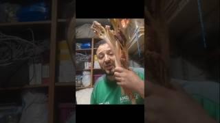 ЧИКРИ БАЧАХО ⁉️ МОСКВА  БОБОЧОН 88