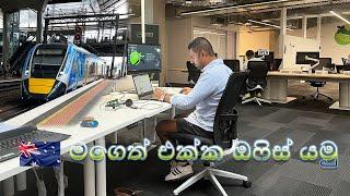 A Day in my Office Life | How to Find a JOB in Australia | මගෙත් එක්ක ඔෆිස් යමු 