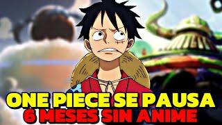 ¡¡EL ANIME DE ONE PIECE SE CANCELA DURANTE 6 MESES!! PERO... - Noticias de One Piece