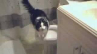 Scandal!!!  Miss Kitty Curtice Caught Tasting the Toliet Water