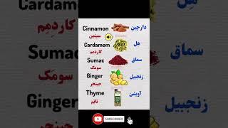 کلمات پر کاربرد زبان انگلیسی (قسمت پنجم)