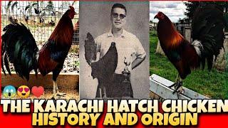 THE HISTORY AND ORIGIN OF KARA CHI CHICKEN.