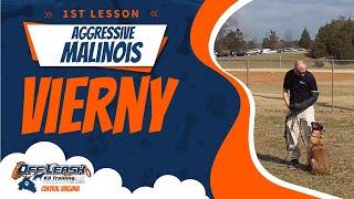 Lesson1 Aggressive Malinois (Vierny) | Best Dog Trainers In Richmond | Richmond VA Dog Training