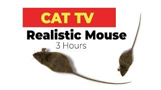 CAT GAMES - Realistic Mouse  HD - 3 HOURS (Video for Cats & Dogs to watch)