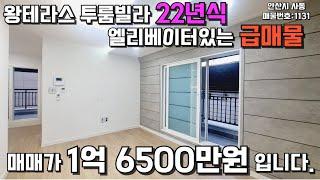 안산빌라매매 22년식 테라스투룸급매 엘베있는현장 #빌라매매 #안산빌라 #테라스