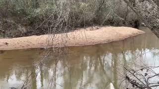 99 Acres Rocky Mount Road, North Meriwether County, GA