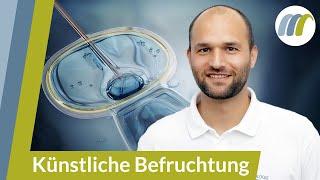 Künstliche Befruchtung: Wie ist der Ablauf und welche Methoden gibt es? | Urologie am Ring